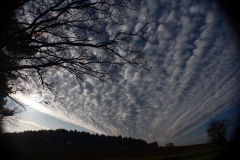 Cloud Formation