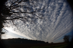 Cloud Formation