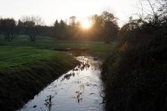 Sun Over River