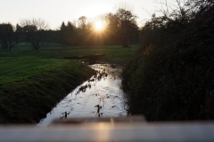 Sun Over River