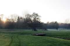 Mist on Golf Course