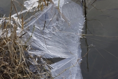 Ice formed on water on a field